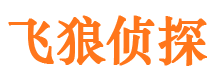 洛江市婚外情调查